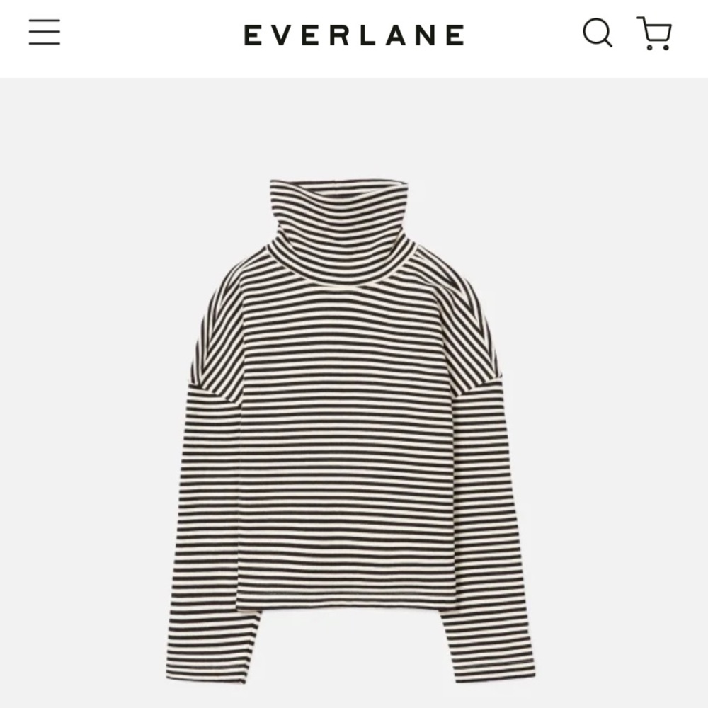 NWT Everlane turtleneck sweatshirt